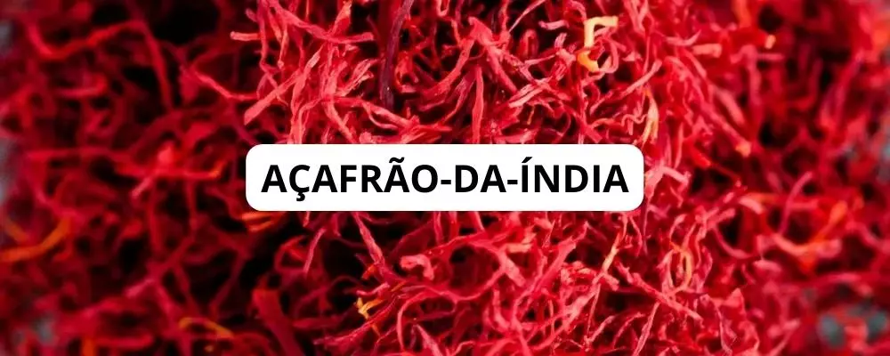 AÇAFRÃO-DA-ÍNDIA