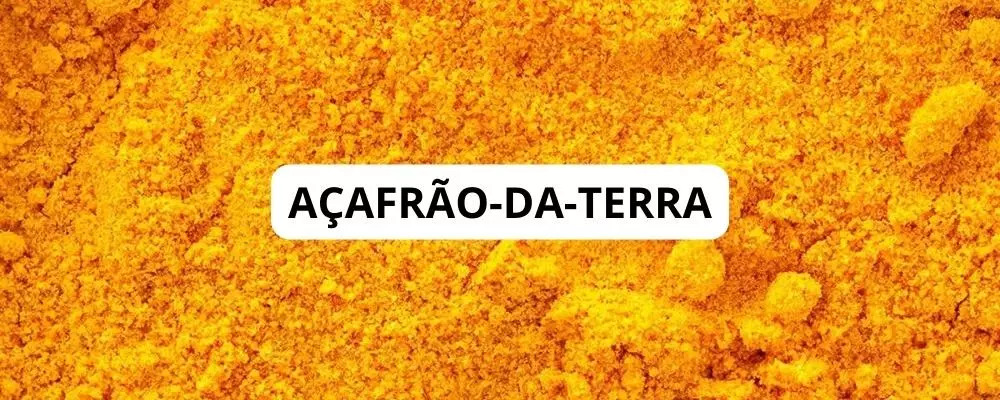 AÇAFRÃO-DA-TERRA