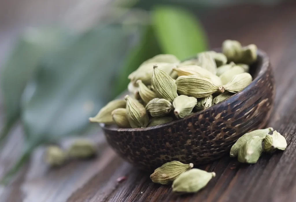 como plantar cardamomo