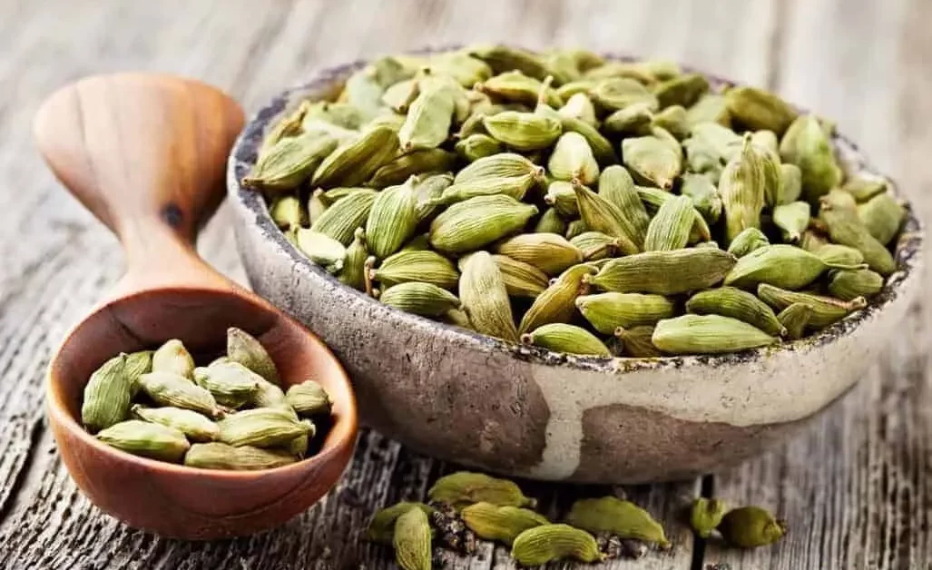 Cardamomo