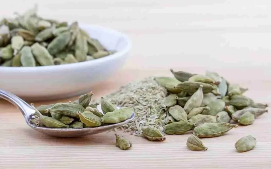 cardamomo