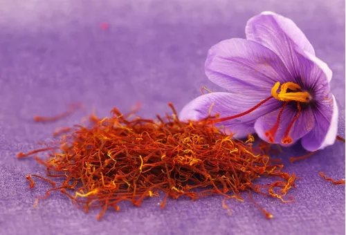 Cúrcuma Longa e Crocus sativus